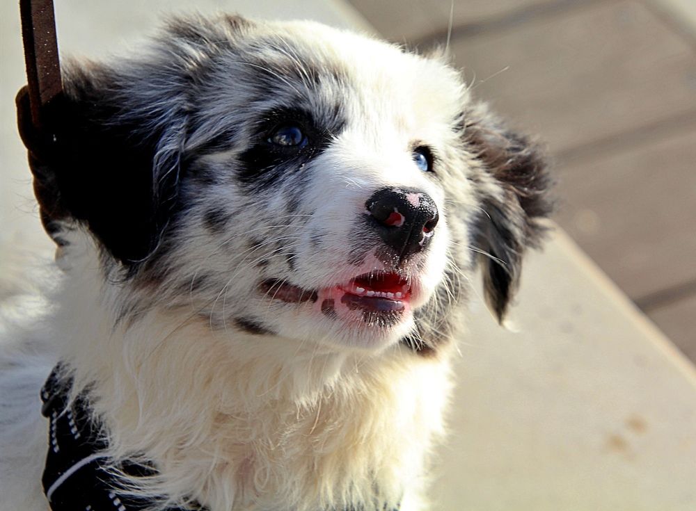 Photograph by Debbie Strauss