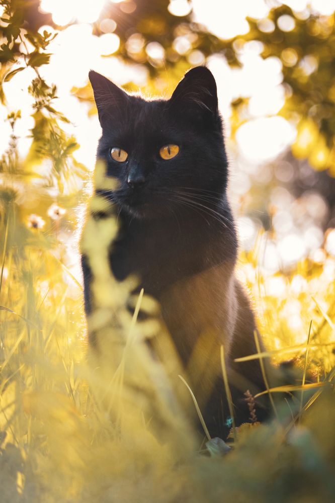Photograph by Элина Васькова