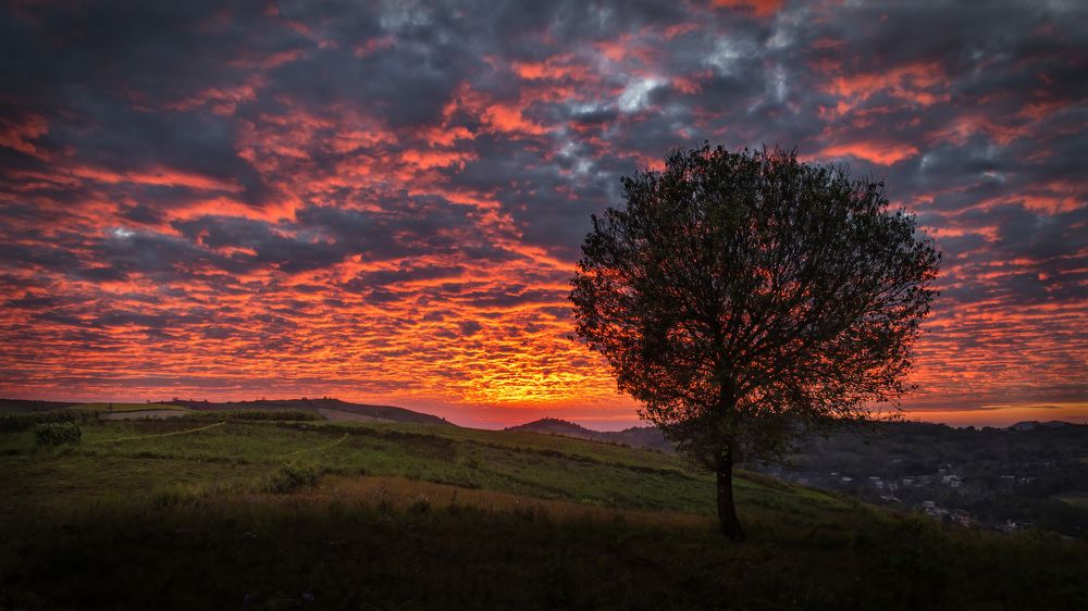 Фотография автора Pyii Zone Aung