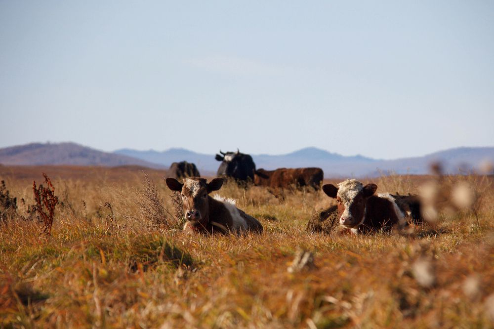 Photograph by Ольга