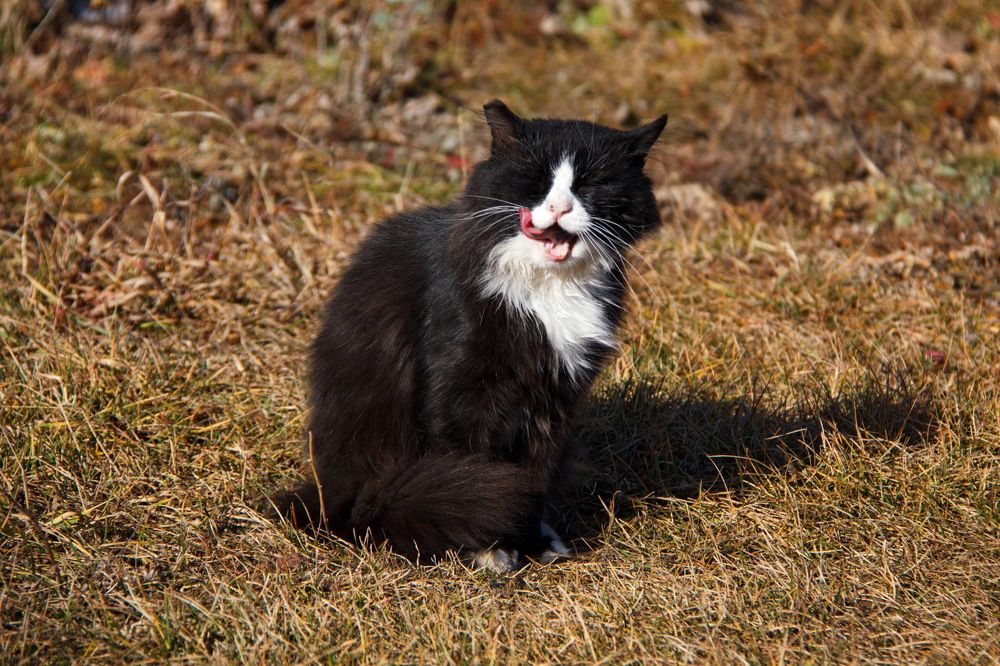 Photograph by Ольга