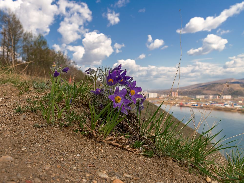 Photograph by Людмила