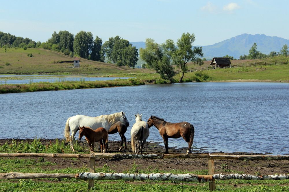 Photograph by Ольга