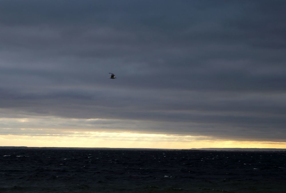Photograph by Юрий Варюхин