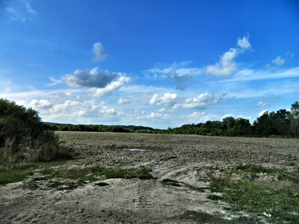 Photograph by Сергей Рапопорт