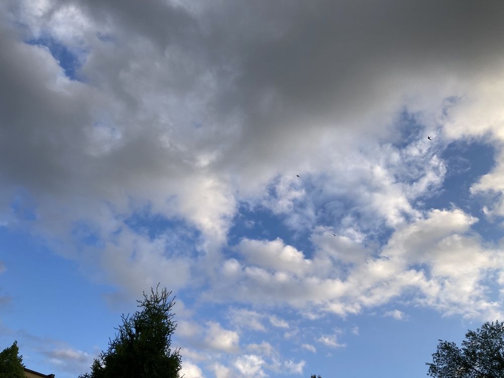 Photograph by Ксения Левченко