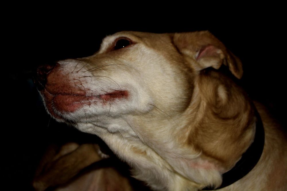 Photograph by Сергей Рапопорт