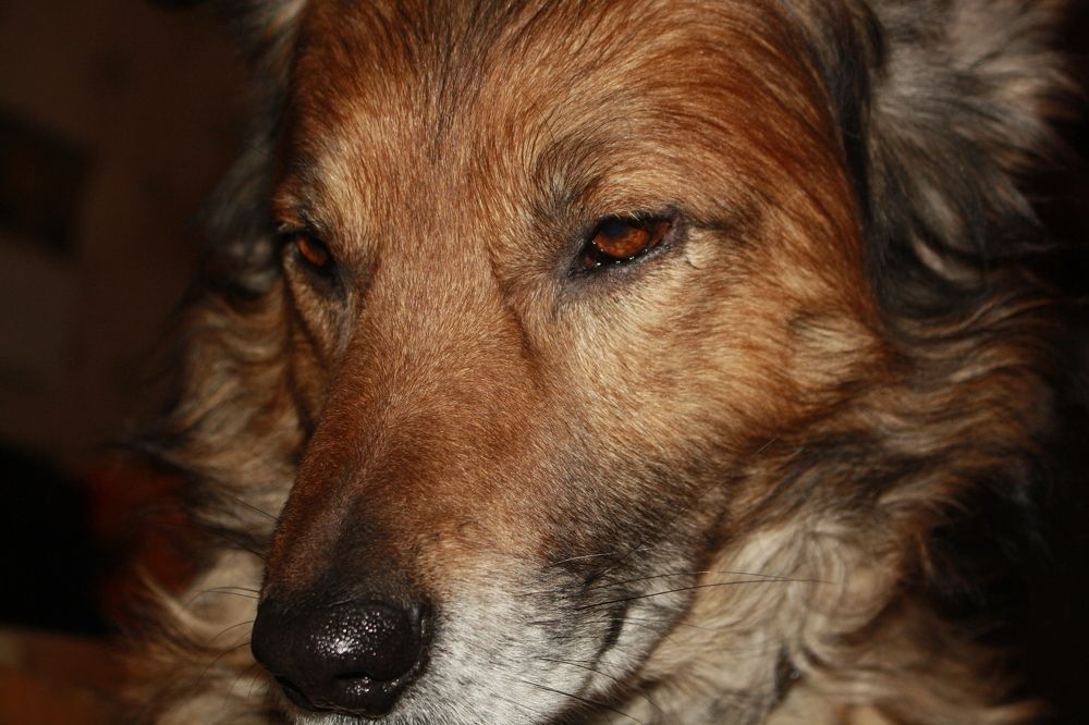 Photograph by Сергей Рапопорт