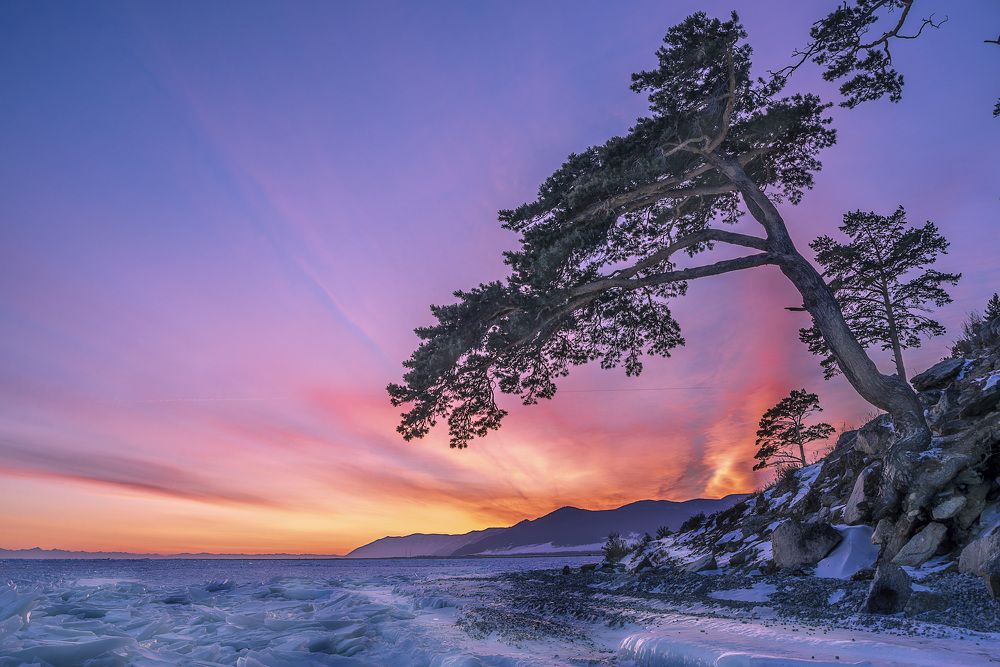 Photograph by Alexey Kulakov