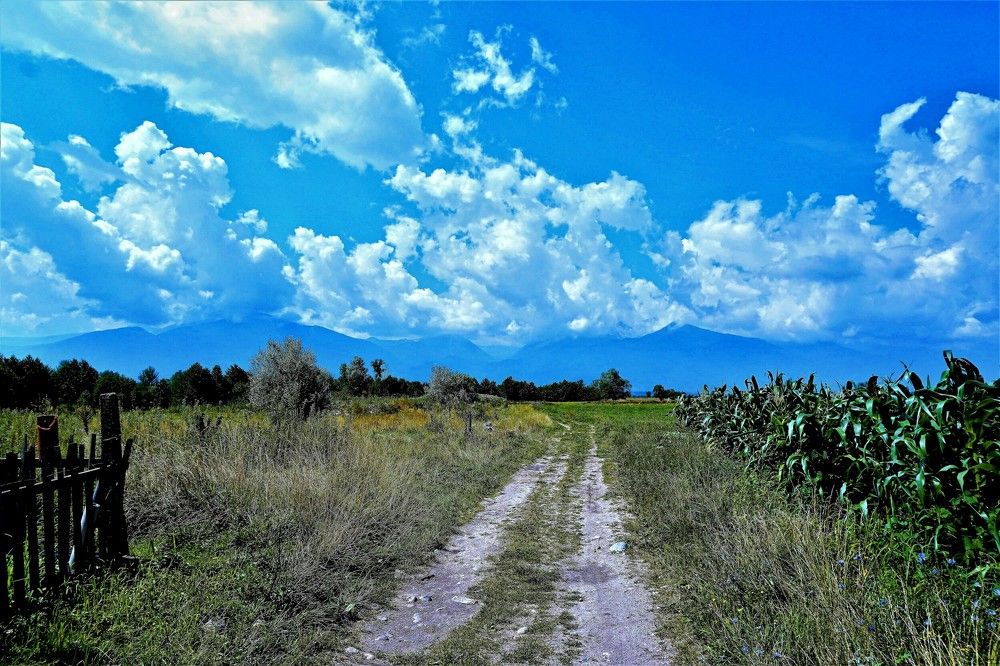 Photograph by Arkady Sandler