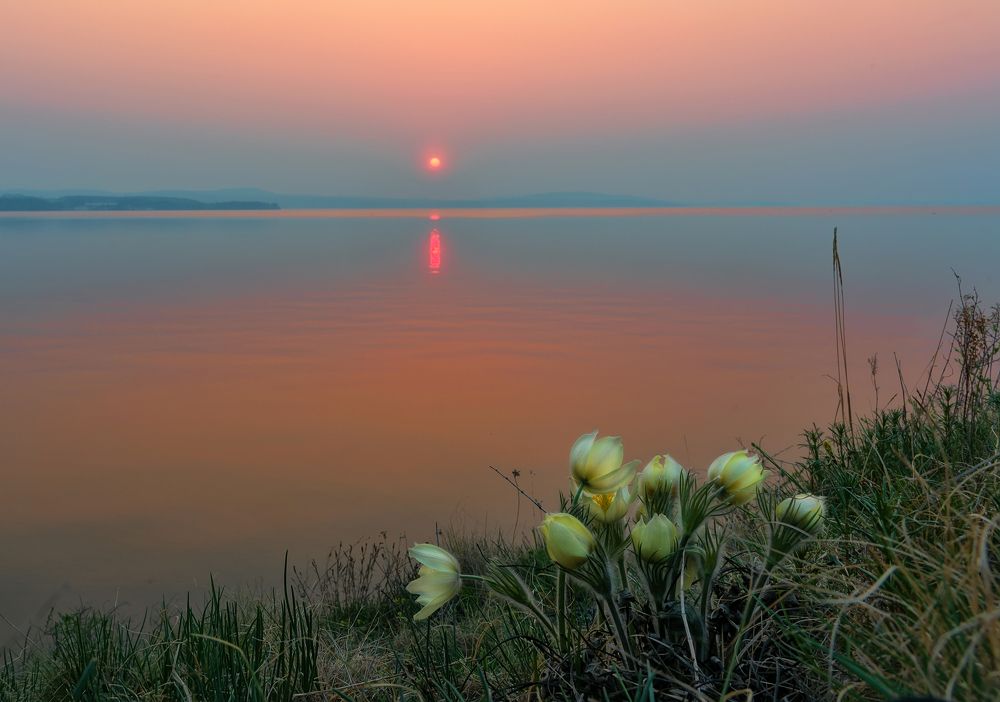 Photograph by Александр Кривошеин