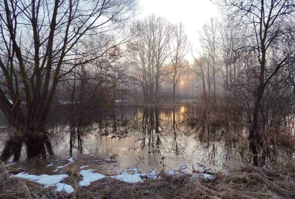 Photograph by Павел Васильев