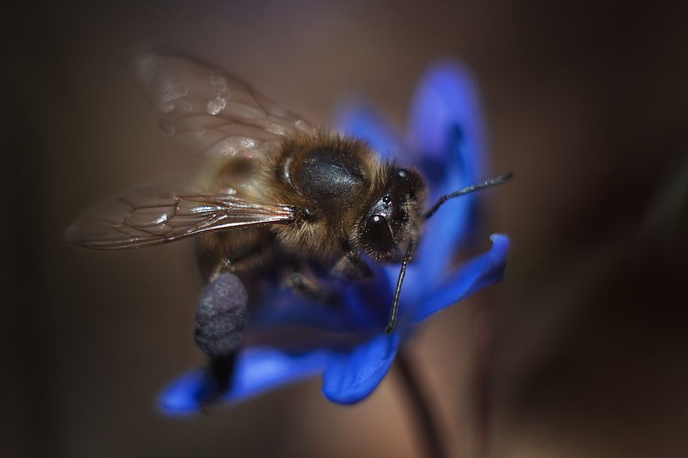 Photograph by Alena Sabro