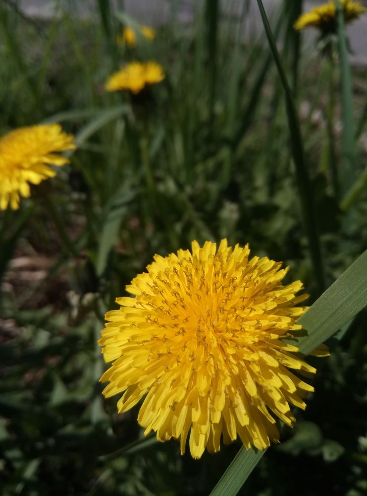 Photo #6082480