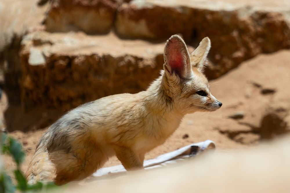 Photograph by Лея Лерер