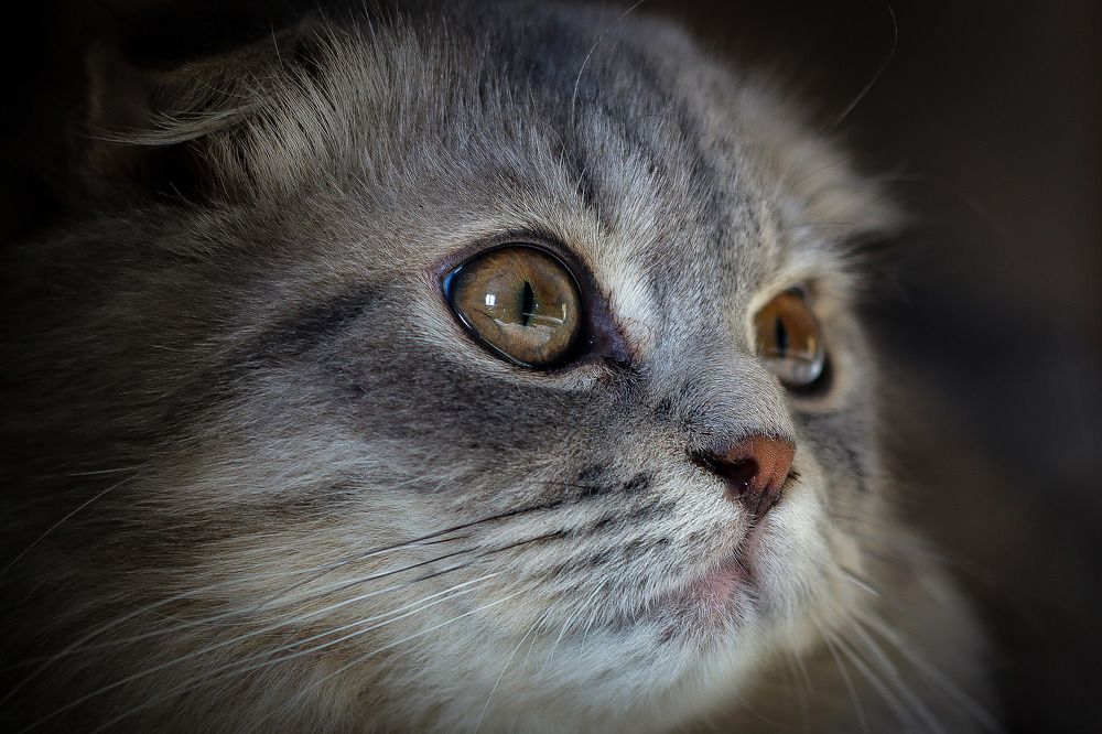 Photograph by Андрей Потапов