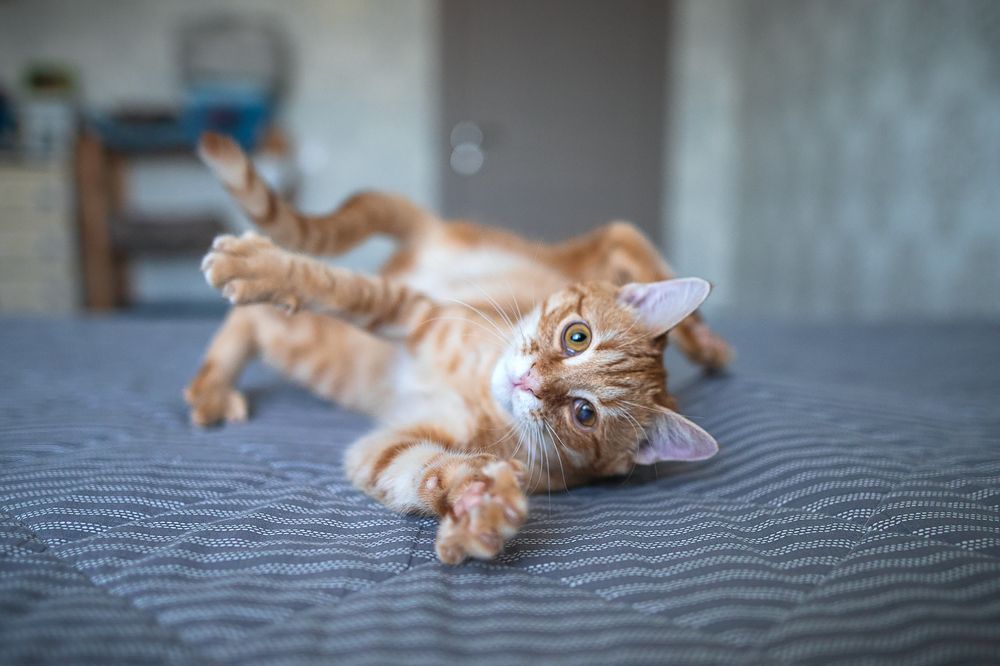 Photograph by Ирина Леонова