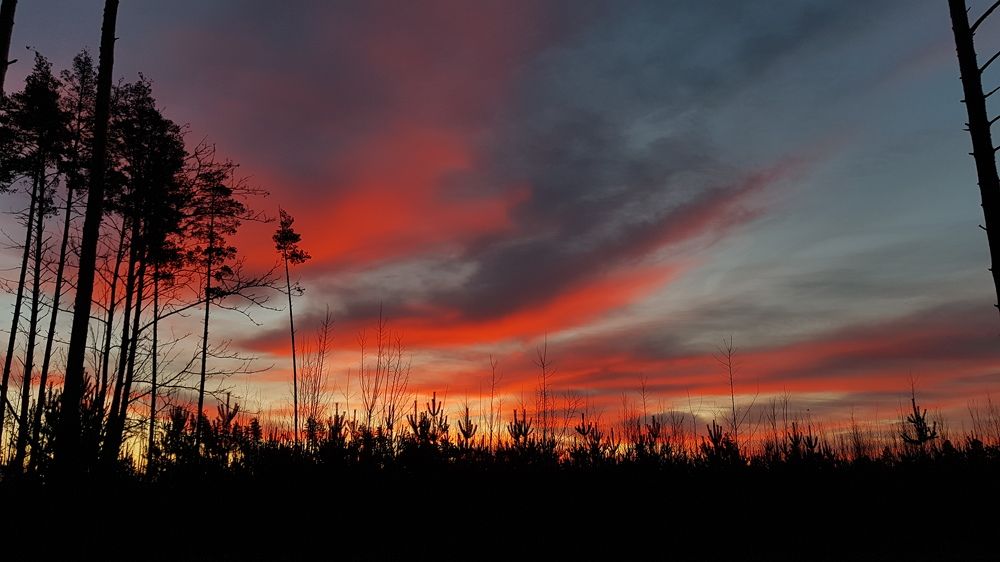 Photograph by Светлана Иванова