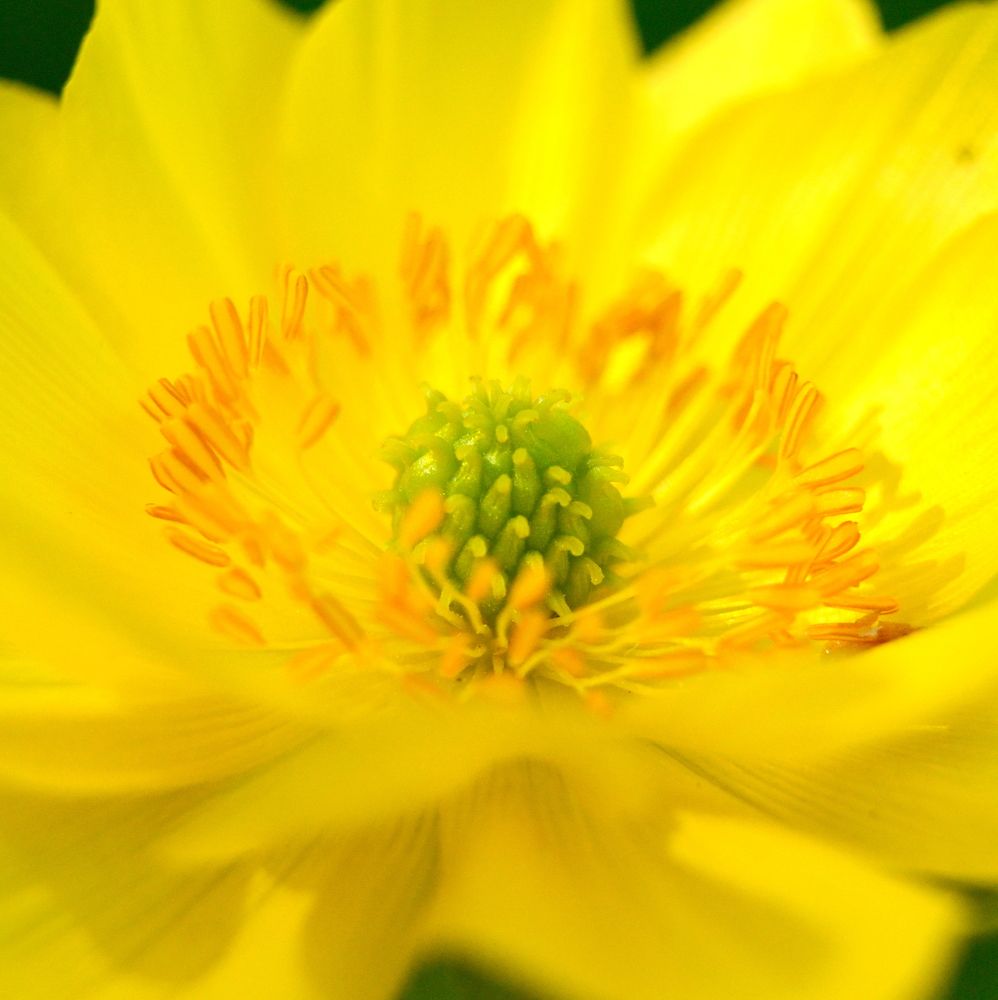 Желтая вселенная....