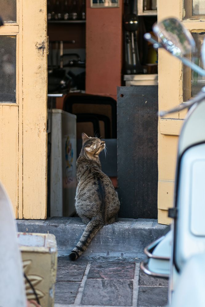 Photograph by Евгений Моляшов