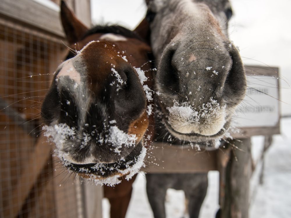 Photograph by Евгений Моляшов