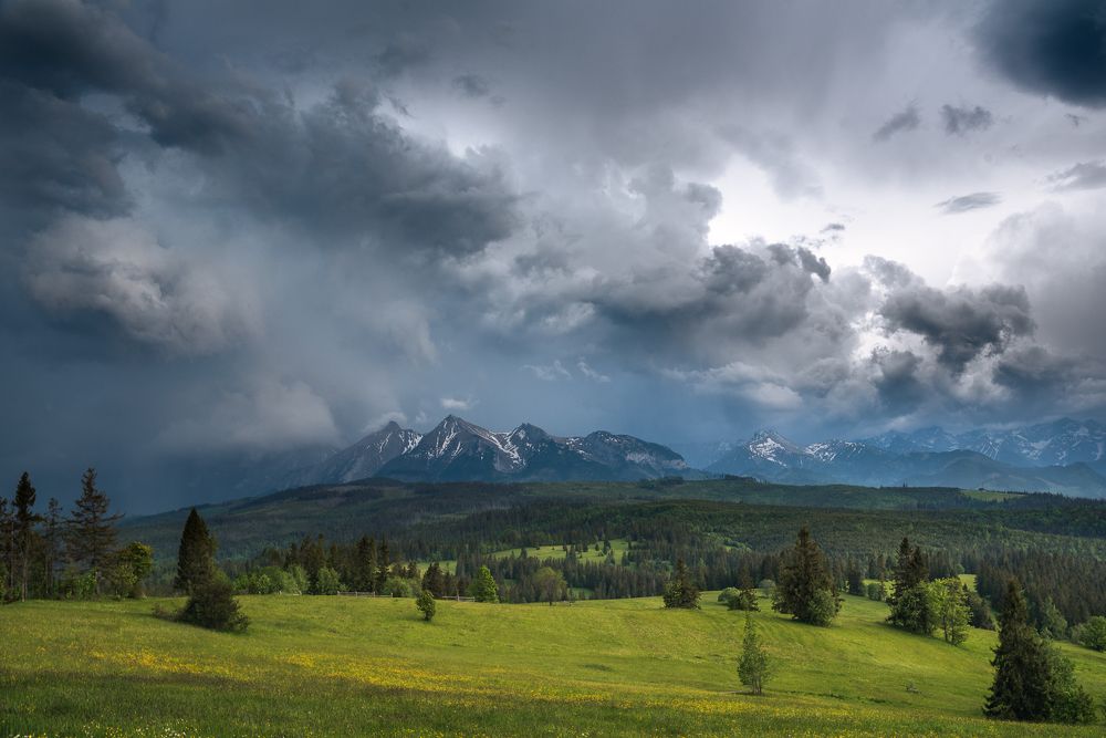 Photograph by Anna Bera