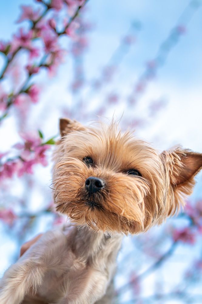 Photograph by Марина Беликова