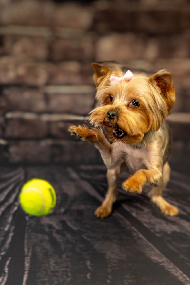 Photograph by Марина Беликова