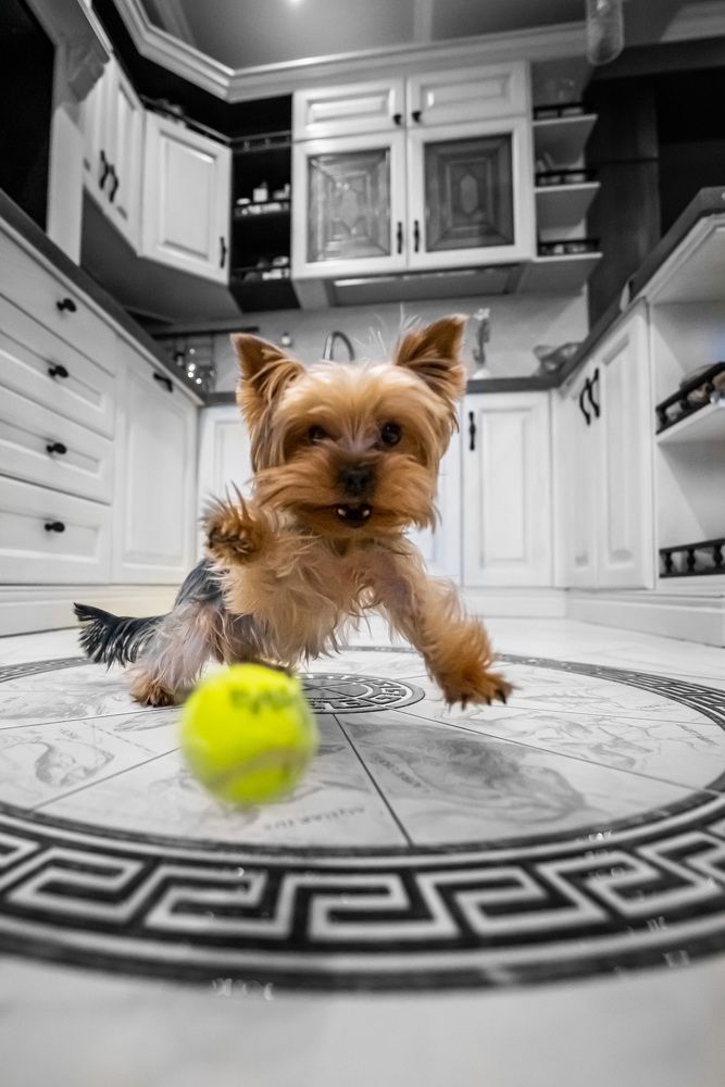 Photograph by Марина Беликова