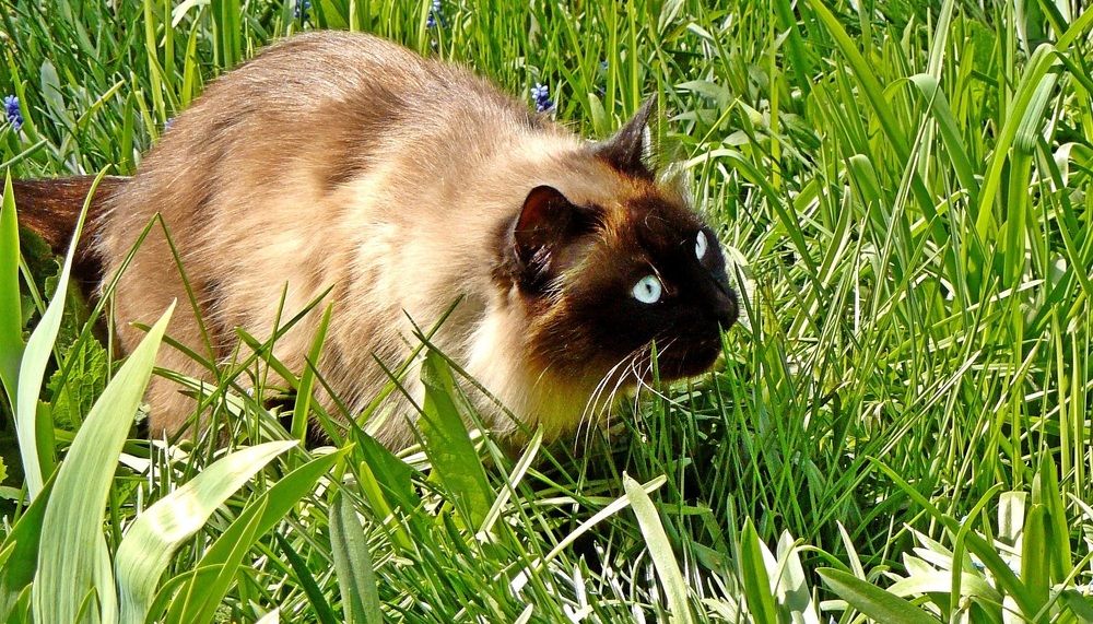 Photograph by леонид натапов