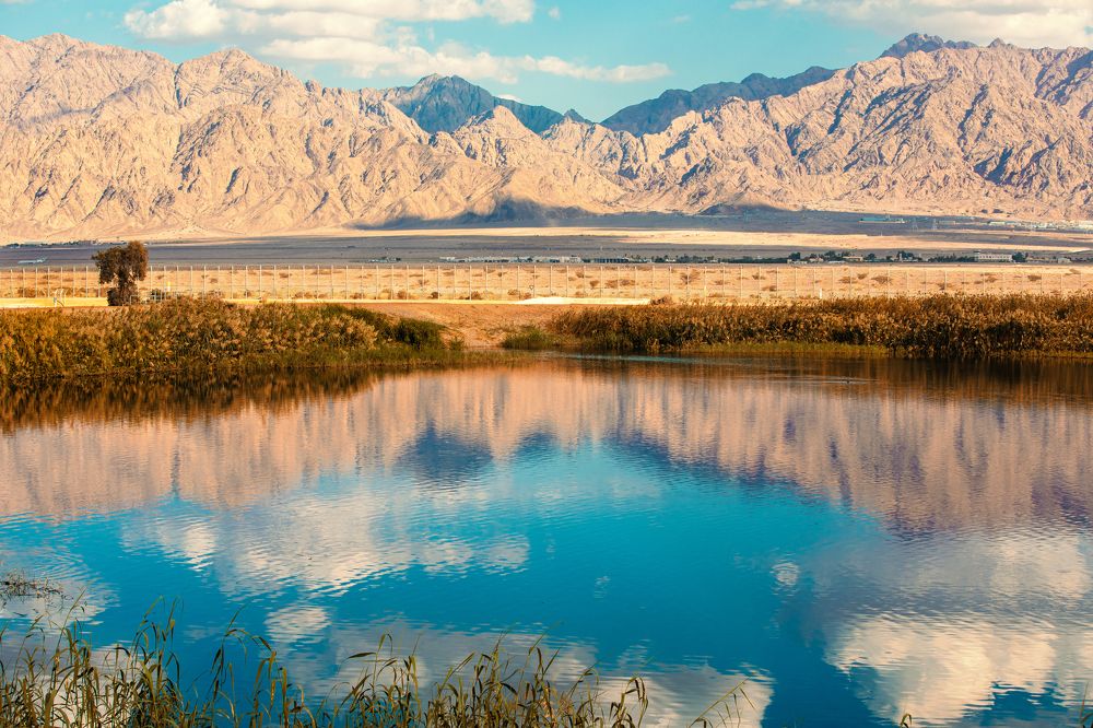 Фотография автора Dmitry Shterenberg