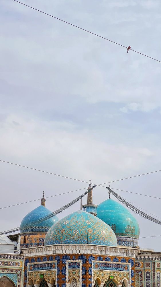 Photograph by hosseini farash seyedeh mohadeseh