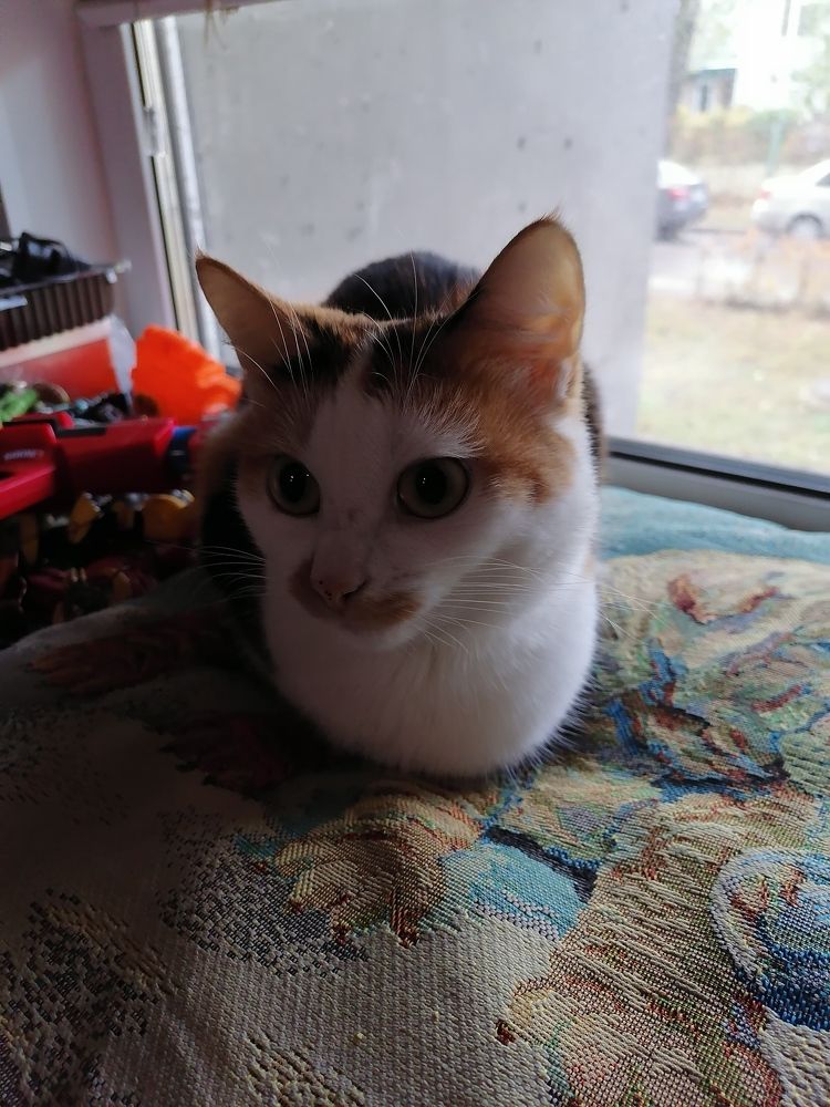 Photograph by Любовь Панфилова