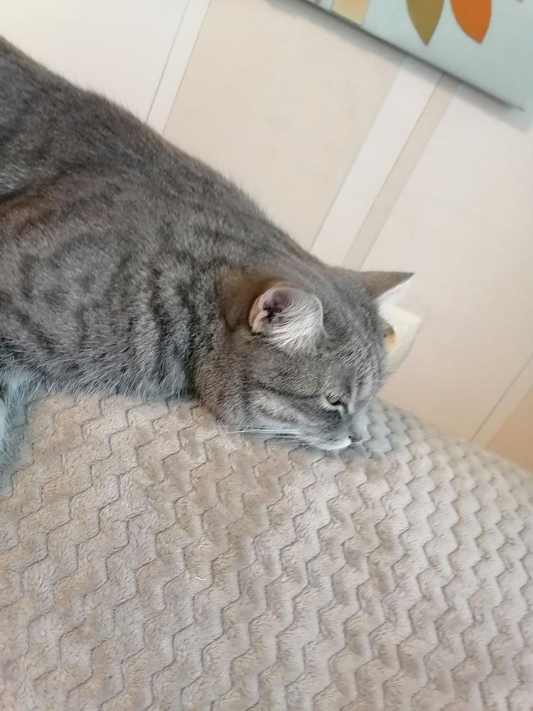 Photograph by Любовь Панфилова