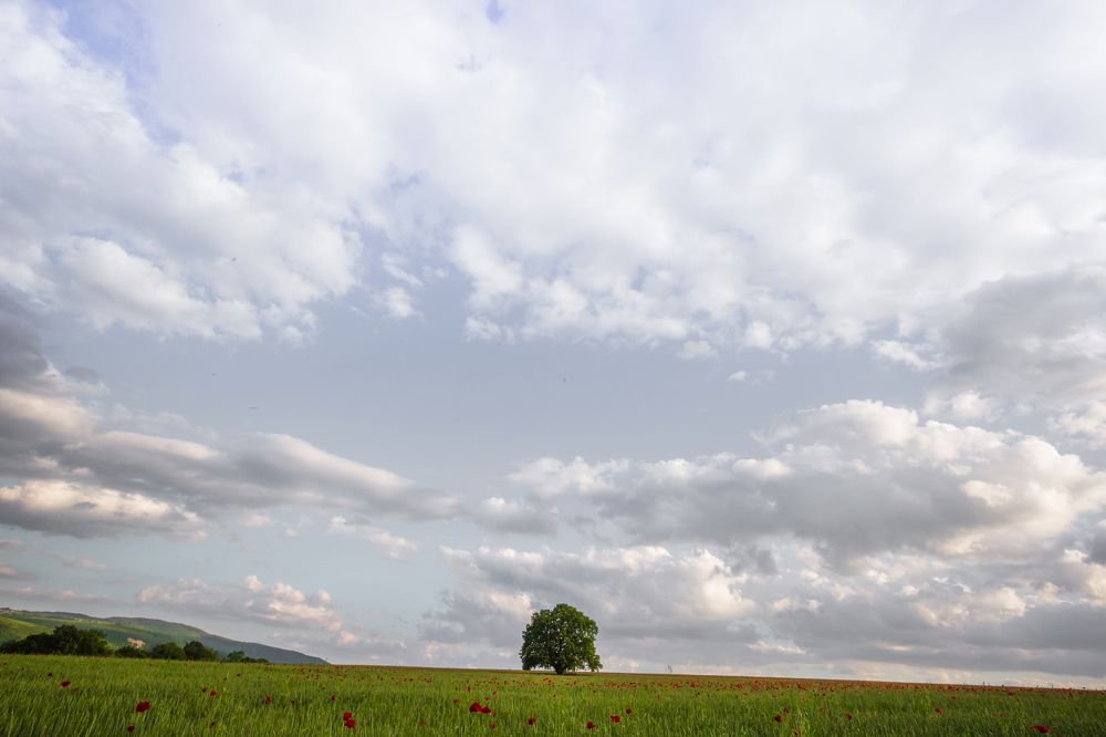 Photograph by Mahir Rustamov