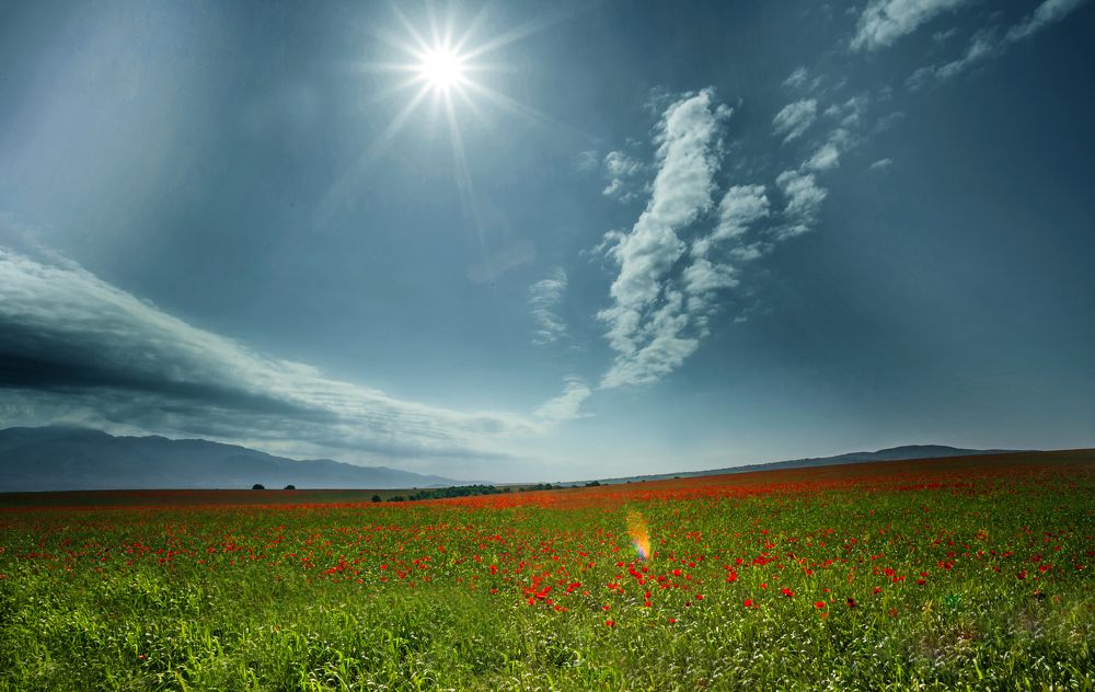 Photograph by Mahir Rustamov