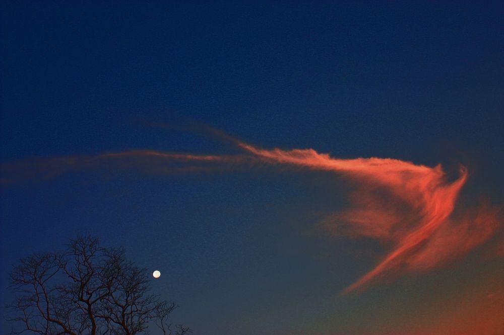 Photograph by Luciano Comba