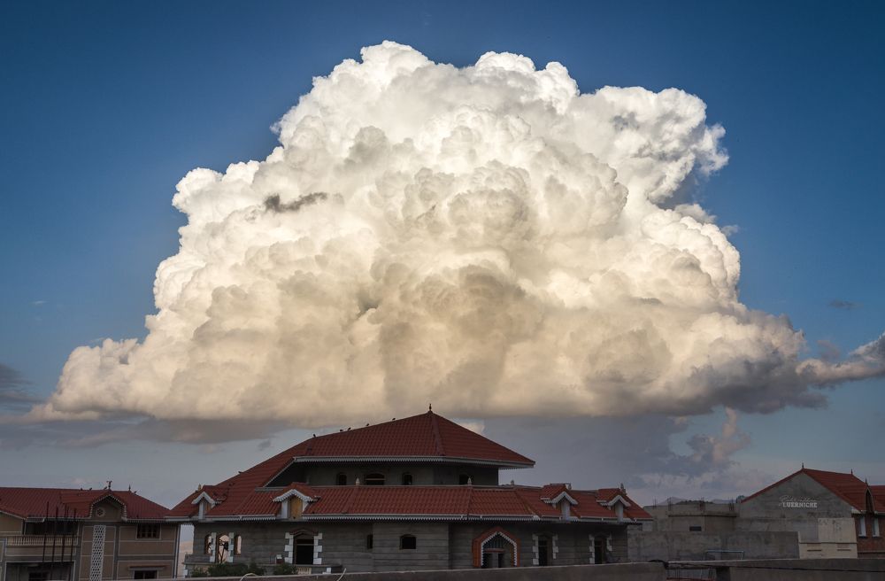 Photograph by Zahr-eddine GUERNICHE