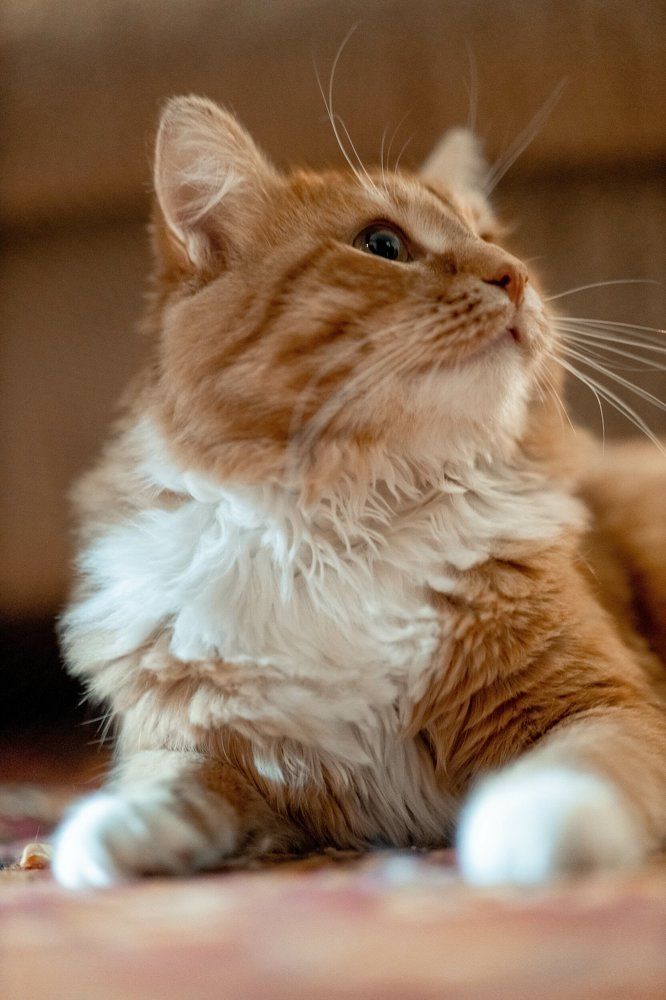 Photograph by Марина Стротова