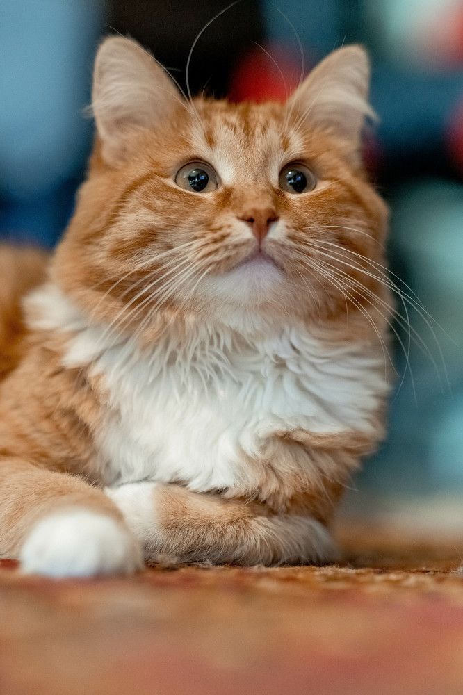 Photograph by Марина Стротова