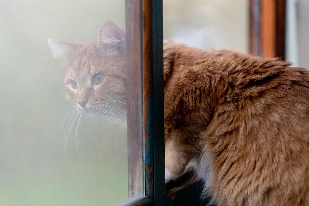 Photograph by Марина Стротова