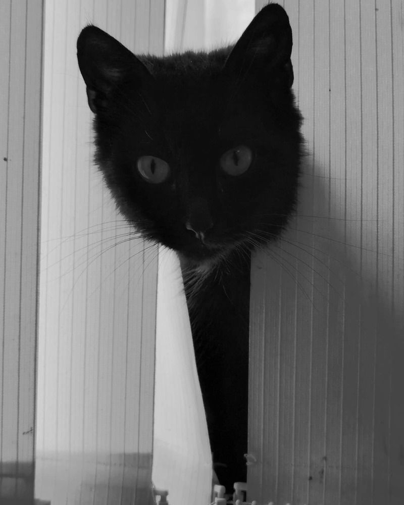 Photograph by Оксана Шахматова