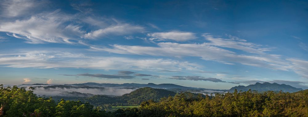 Photograph by Chamara Sulakkhana Polwatta Siriyalage