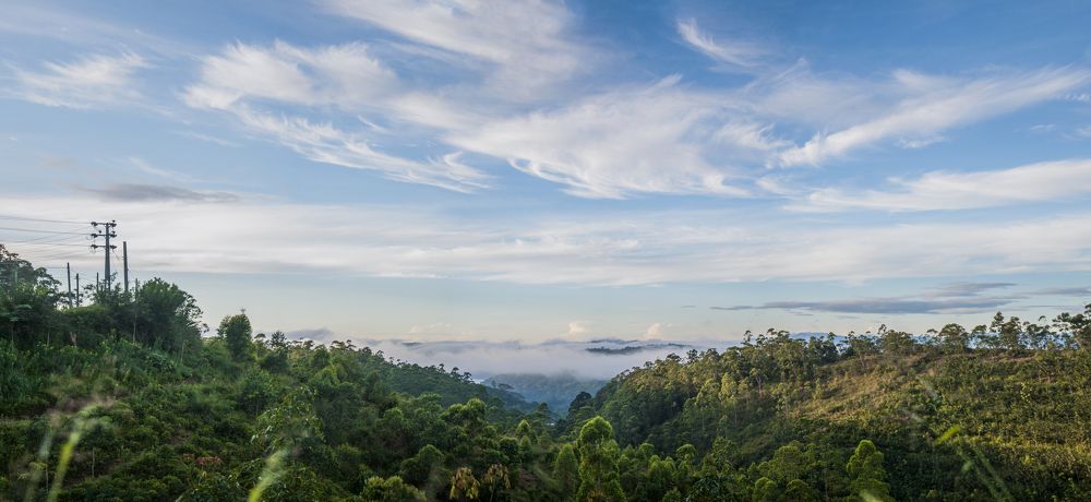 Photograph by Chamara Sulakkhana Polwatta Siriyalage