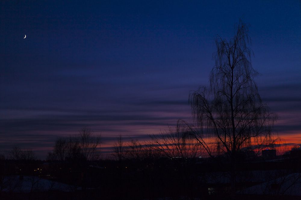 Фотография автора Алёна Сухарева