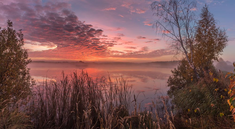 Photograph by Евгений Патрешов