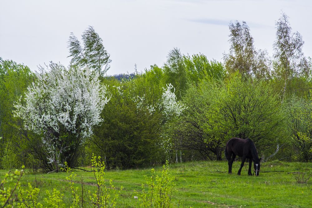Photograph by Никита Михайлов