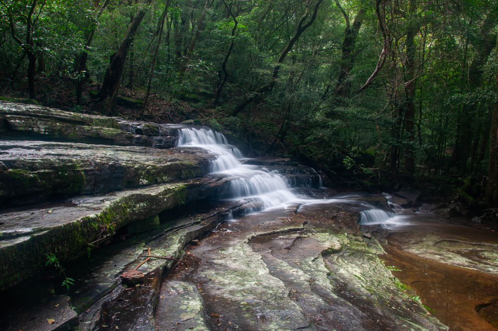 Photograph by Chamara Sulakkhana Polwatta Siriyalage