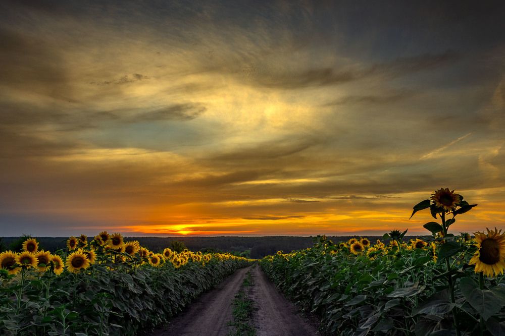 Photograph by Анатолий Чупрынин