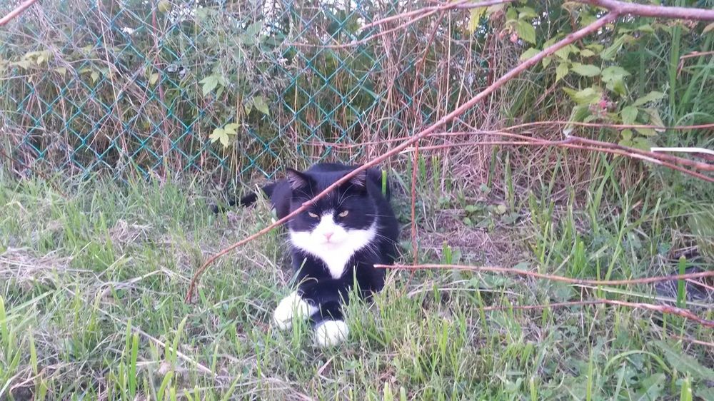 Фотография автора Natalia Khodina